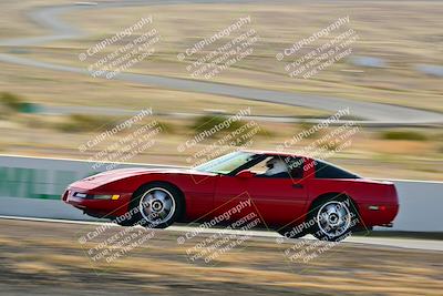 media/Mar-22-2025-West Coast Racing (Sat) [[0d49b412c8]]/Yellow Group/Session 1 (Turn 4-Exterior)/